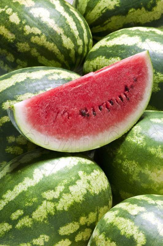 2541